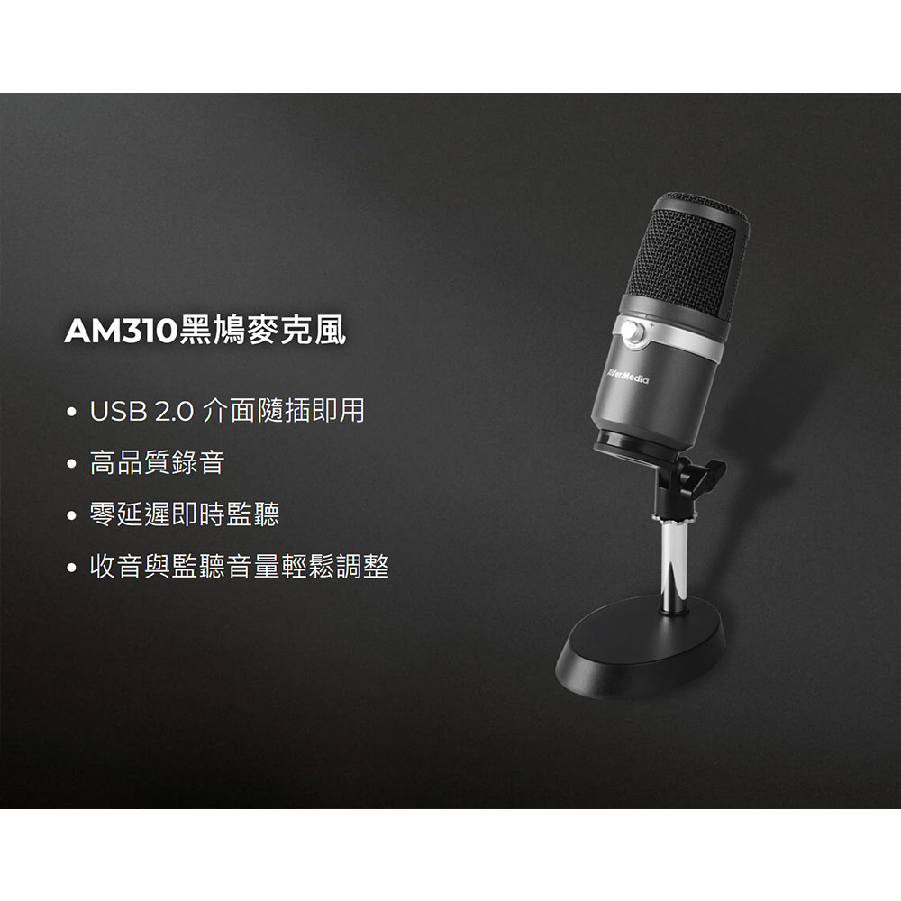 圓剛 AM310 黑鳩 USB錄音麥克風 白化版 專業級收音 台灣公司貨 含稅開發票 指向性高音質