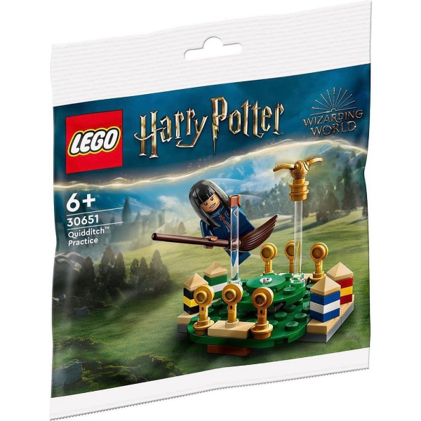 LEGO 樂高 30651 哈利波特 Quidditch Practice 魁地奇訓練 張秋 金探子 全新品