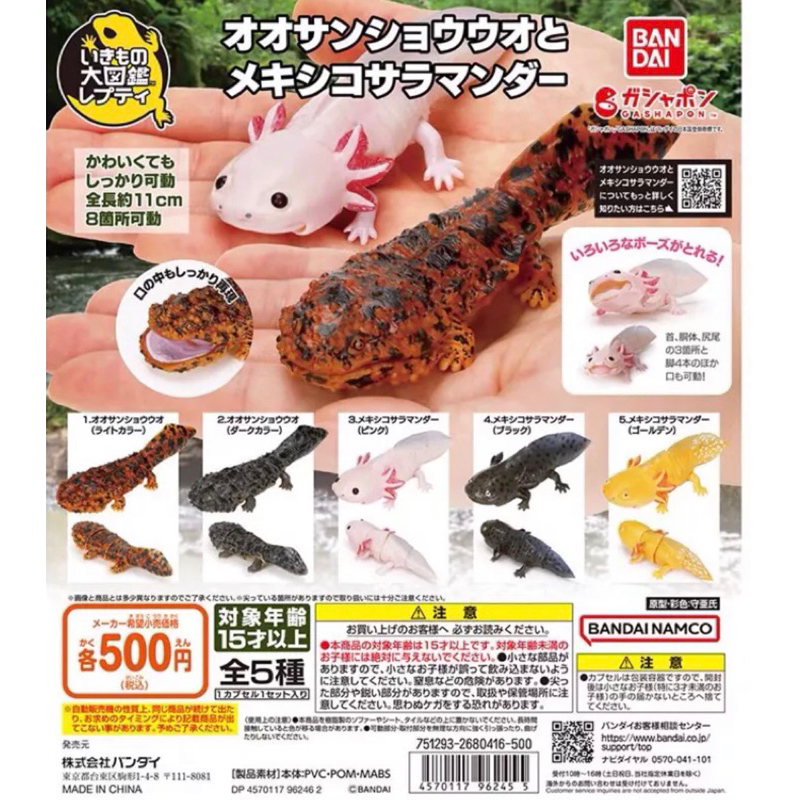 BANDAI 生物大圖鑑 娃娃魚 六角恐龍 墨西哥鈍口螈 扭蛋 山椒魚