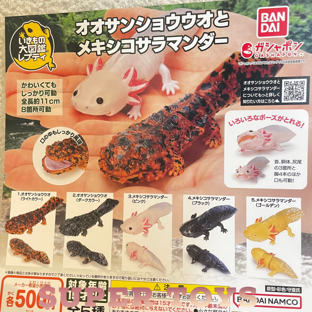 《$uper Toys》全新現貨 扭蛋 轉蛋 生物大圖鑑 六角恐龍 爬蟲類 山椒魚 蠑螈 娃娃魚 大鯢 可動 模型 公仔