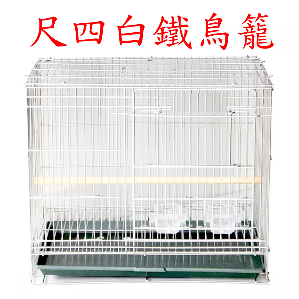 呎四白鐵鳥籠的價格推薦- 2023年8月| 比價比個夠BigGo