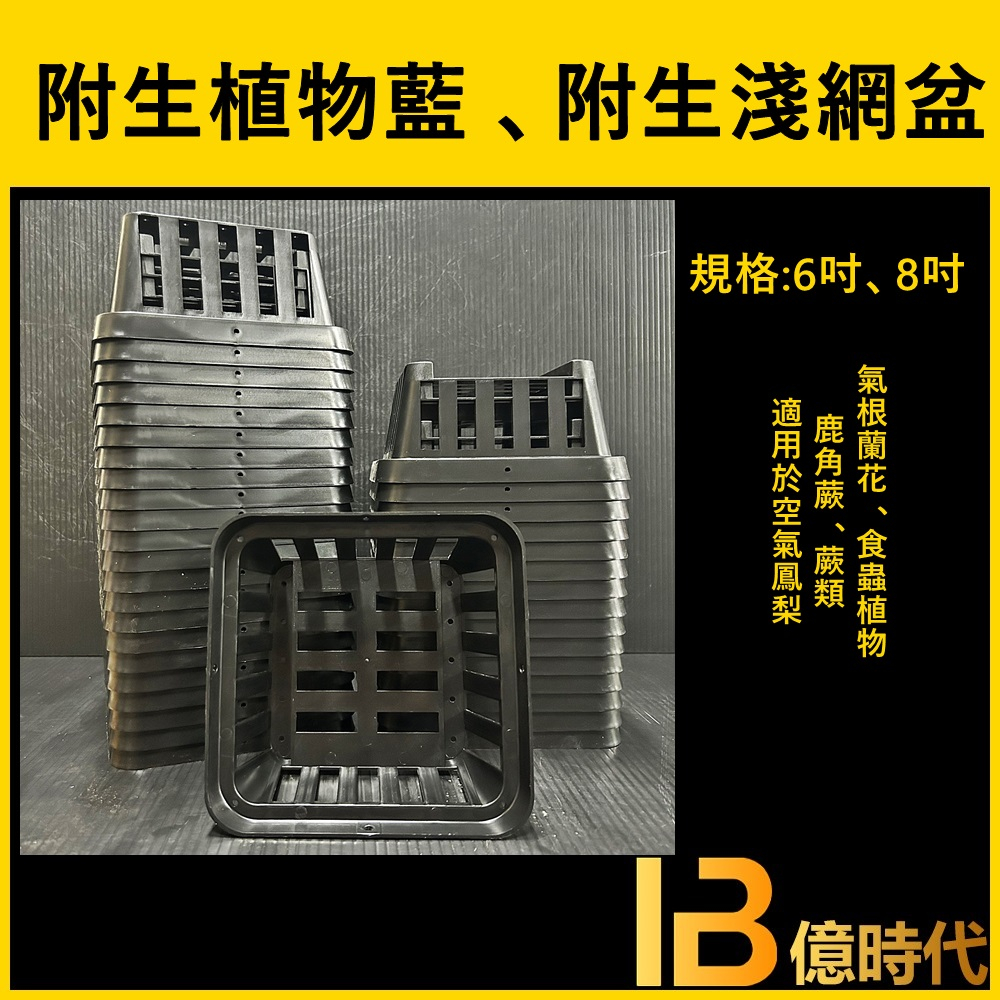 億時代園藝+ 6吋 8吋附生植物籃 蕨類盆 附生淺網盆 鹿角蕨盆 蘭花盆 附生植物盆 著生植物盆 鹿角蕨 空氣鳳梨