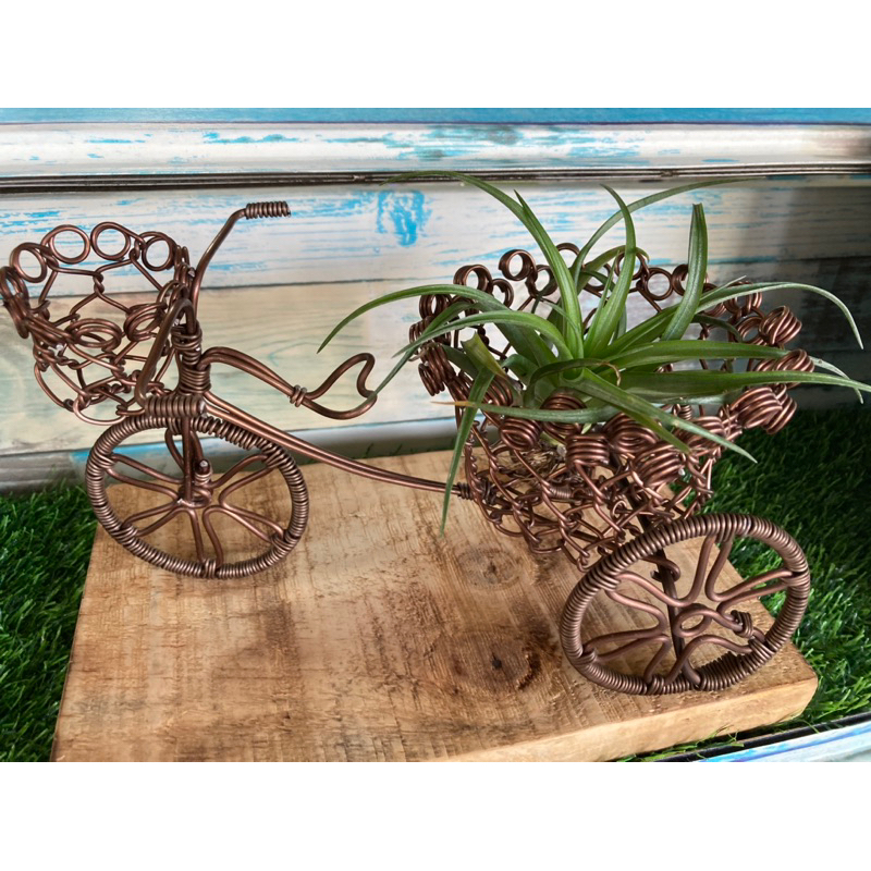 真藝手作坊～腳踏車空氣鳳梨花架《不含植物》