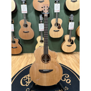 【諾亞樂器】全新 免運 L.luthier Cofe 紅松木面單板 桃花心木側背板 面單板木吉他