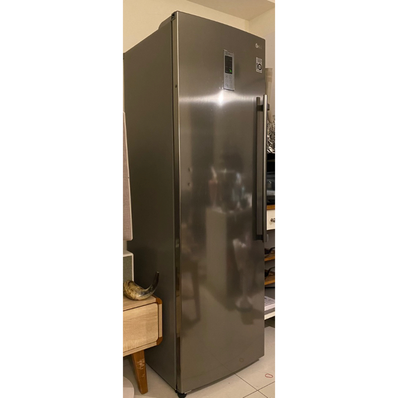 LG冷凍式冰箱直立式