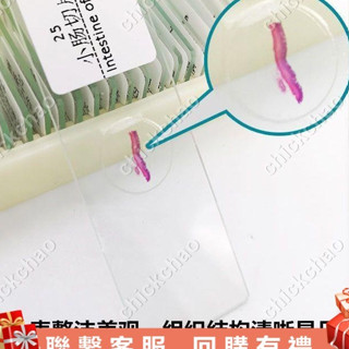 兒童顯微鏡切片套裝 5-200片多種可選 生物玻片可教學使用#chickchao