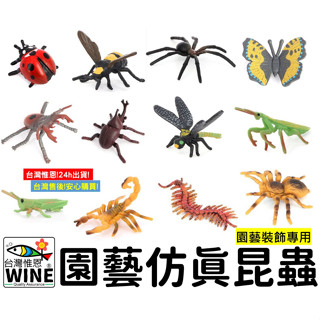 WINE臺灣惟恩 微景觀 園藝模擬昆蟲 昆蟲 瓢蟲 多肉 盆栽 蜜蜂 蜘蛛 鍬形蟲 獨角仙 蜻蜓 螳螂 螞蚱 蠍子 蜈蚣