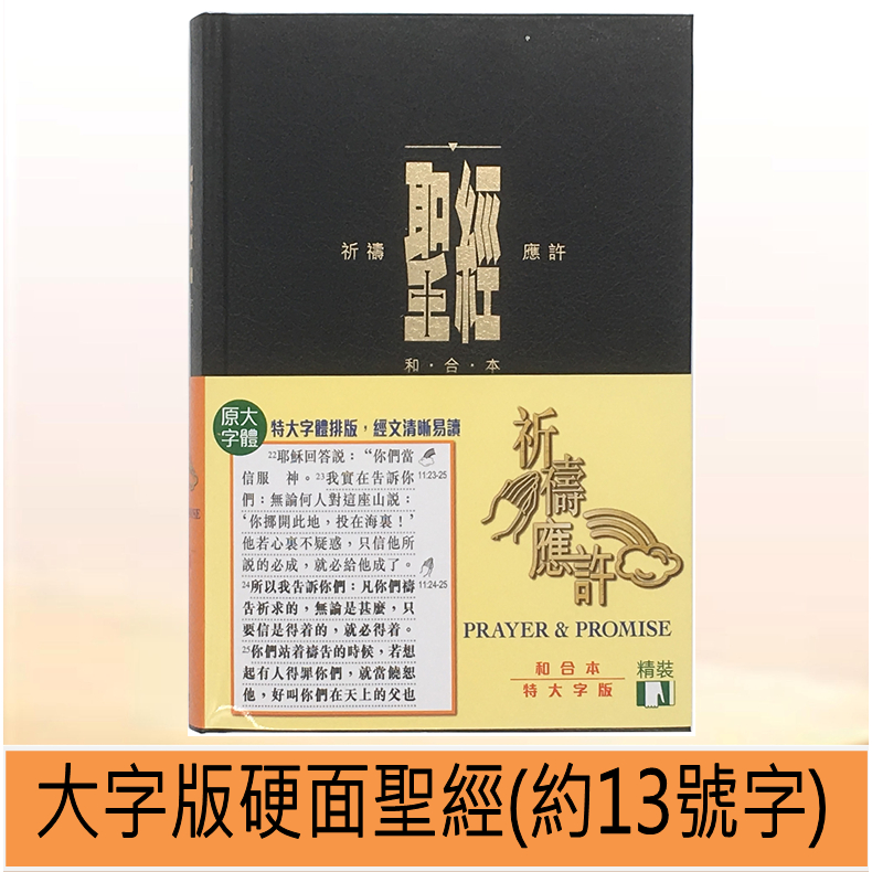 聖經．特大字版．祈禱應許功能．硬面白邊．拇指索引 / 全新