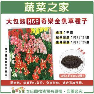 蔬菜之家滿額免運【00H59】大包裝.奇樂金魚草種子3克(約18000顆) //混合色，株高約40公分，分支性佳，適合花