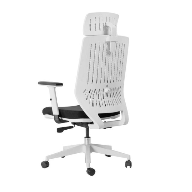 Backbone Peacock 人體工學椅 辦公椅  台灣品牌 工作椅 家居 電腦椅 椅子 可調節