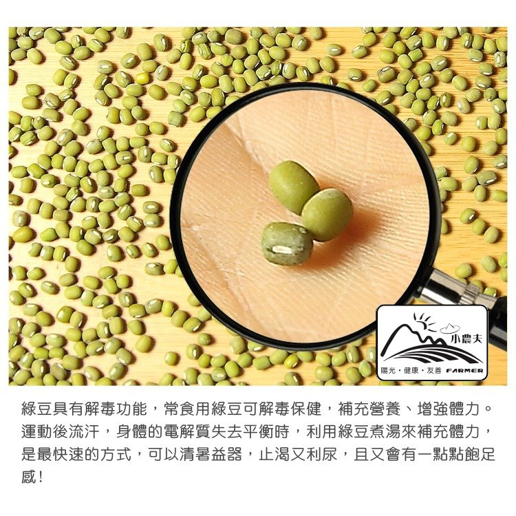 【小農夫國產豆類】台南5號-優質選粉綠豆 / 3公斤=5台斤  /台灣種植