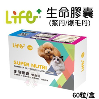 🍜貓三頓🍜Life+《生命膠囊(鱉丹/爆毛丹)》60顆/盒 天然食品、無副作用