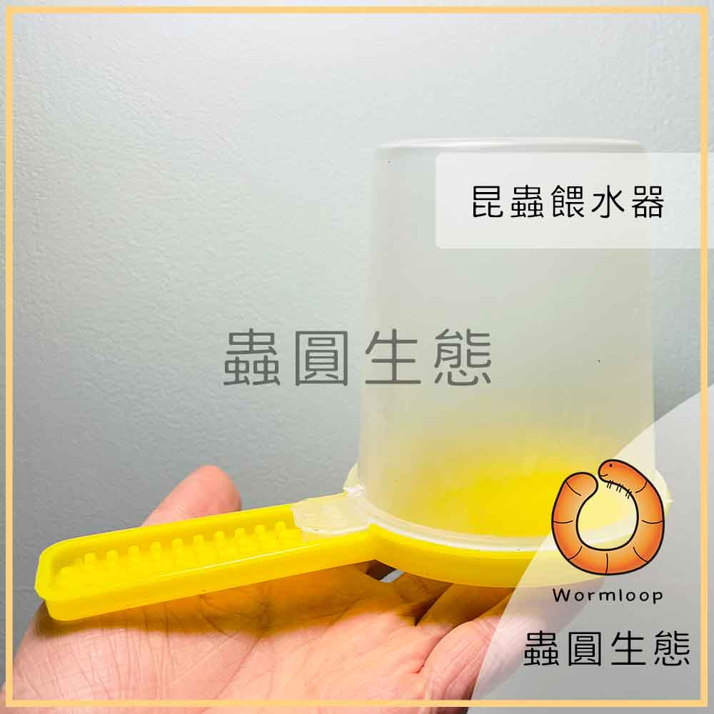 [Wormloop蟲圓生態] 昆蟲餵水器 飲水器 餵水器 蟋蟀 蟑螂 杜比亞 櫻桃紅蟑螂 蜜蜂