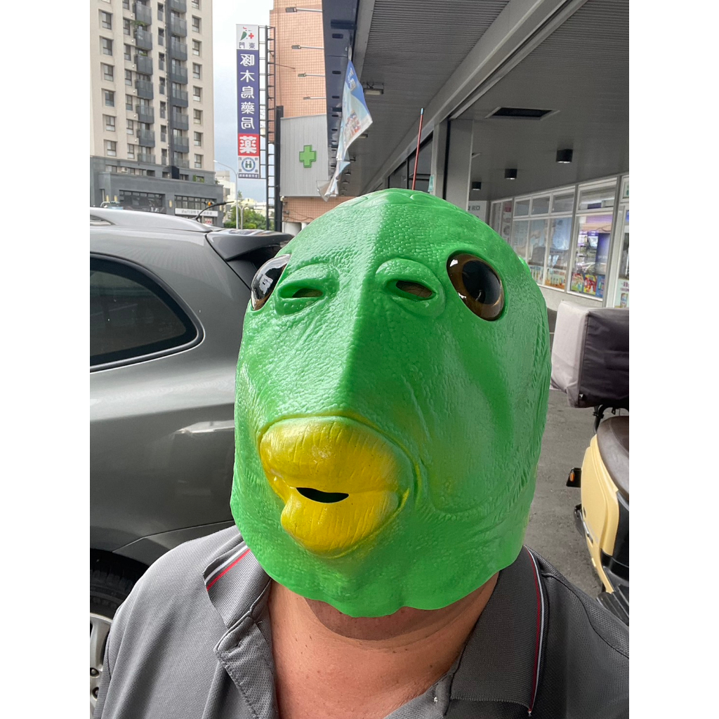 搞怪面具頭套 台灣現貨 搞怪魚頭頭套 綠魚頭 萬聖節面具 cosplay 可愛搞怪面具 綠頭魚 魚頭套