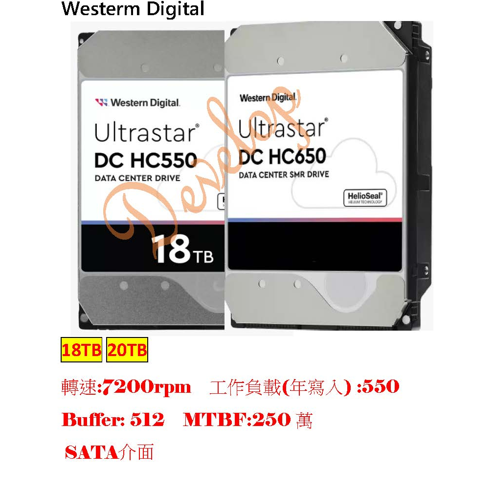 Develop WD 3.5吋 18T 20T Ultrastar DC HC550 650企業硬碟 祼裝 工業包