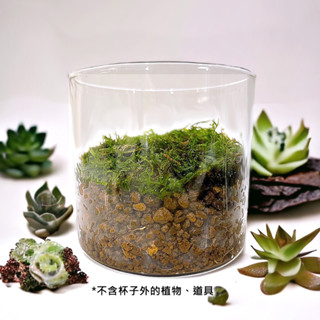 【草葉日和】玻璃花瓶 生態瓶 掌中綠植杯 苔蘚 花器 花盆 微景觀 盆栽 生態瓶 迷你生態瓶 生態瓶蝦 辦公室小物