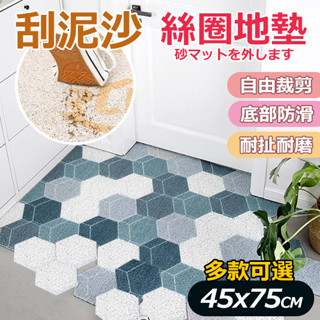《臺灣現貨 天天出貨》北歐風 去泥 刮沙絲圈地墊 防髒墊 腳踏墊 止滑墊 防水墊 佈置 地毯 玄關 耐磨耐蹭