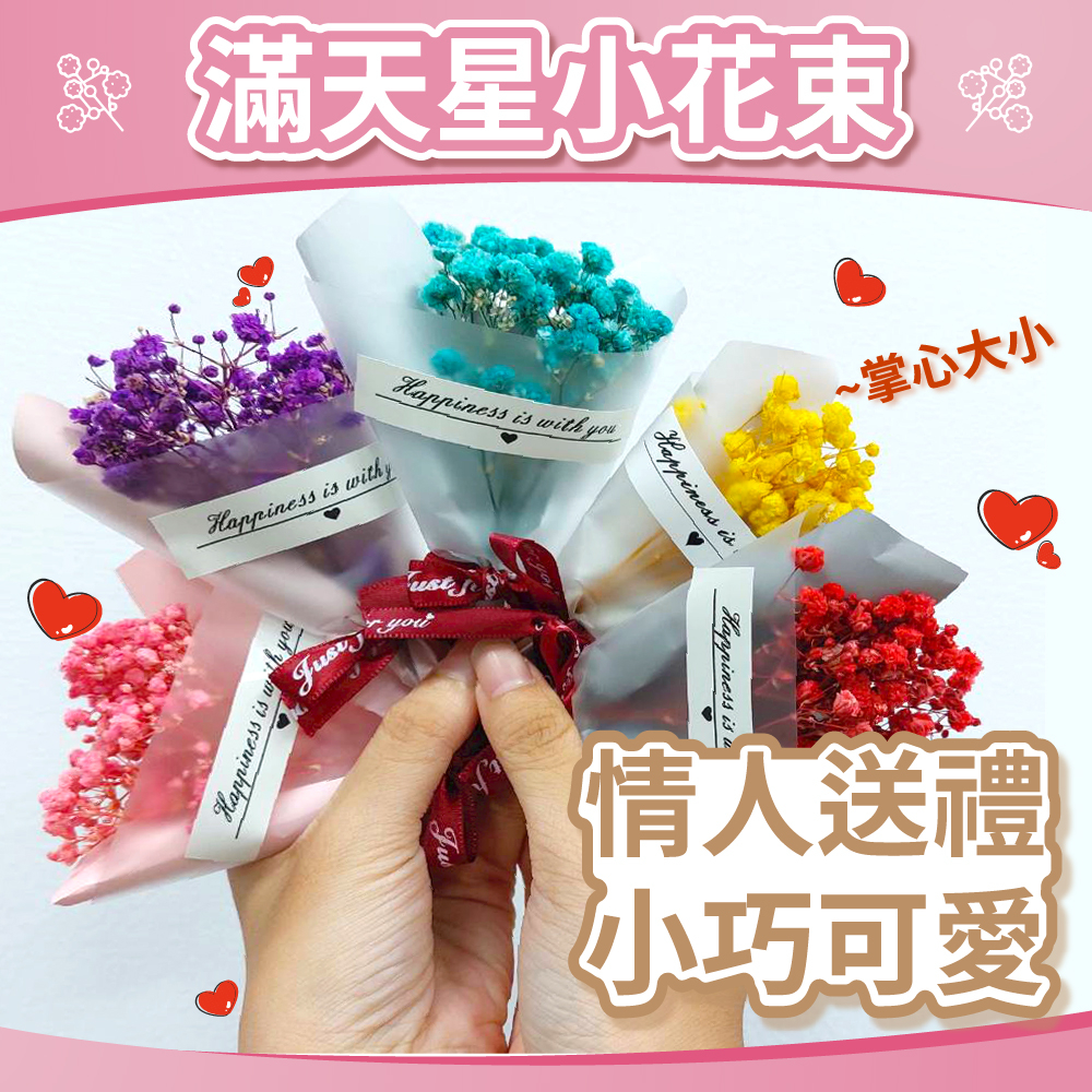 🎈氣球快易送🎈 滿天星小花束(高約12公分) 乾燥花束 滿天星 畢業花束 情人節 聖誕節 情人花束 小花束【台灣現貨】