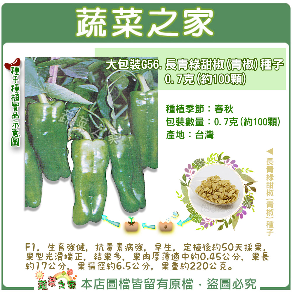 蔬菜之家滿額免運【00G56】大包裝.長青綠甜椒(青椒)種子0.7克(約100顆)