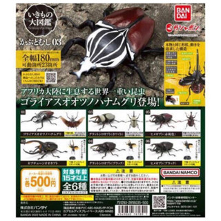 全新 現貨 萬代Bandai 獨角仙 03 單售 可動 扭蛋 轉蛋模型