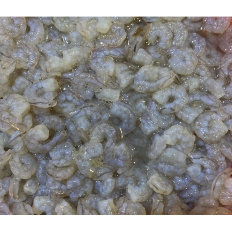 【EZ蝦坊】冷凍餌料-藍體蘇菲亞侏螯蝦（買10送1）