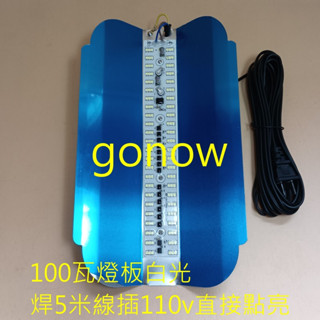 碘鎢燈 led 100w 144燈珠 110v 萬用燈架 擺攤燈架 擺攤燈具 白光,黃光 投光燈 強光燈