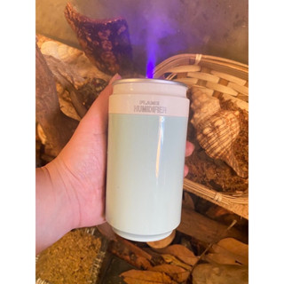 寄居蟹加濕器 加濕器 無線 增加濕氣 噴霧器 噴水霧 無線加濕器 充電加濕氣