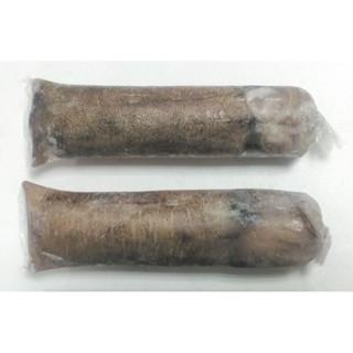 《愷鱻》活凍軟絲「500-600克」全館滿額免運/烏賊/墨魚/軟絲/魷魚/花枝軟體類/烤肉/鮮凍軟絲