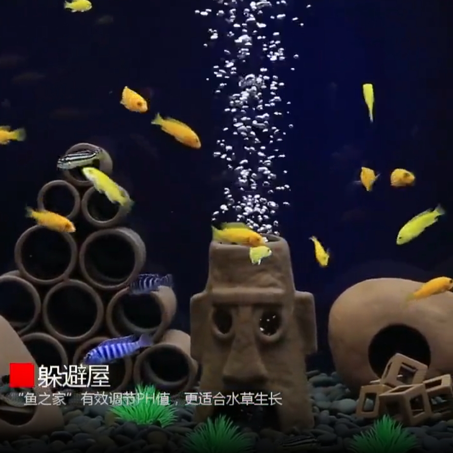 家飾品陶磁器招財魚置物-