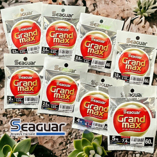 中壢紅海釣具【Seaguar】GRANDMAX-60M(橘)卡夢線 碳纖線 頂級子線 0.4-5.0號 日本島內線