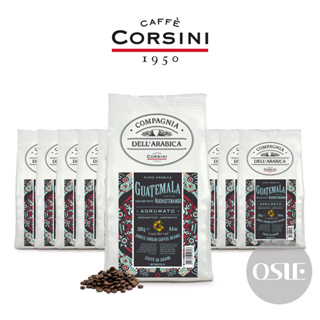 【大量優惠】3kg/12包/箱 義大利咖啡 CORSINI 瓜地馬拉咖啡豆 單品咖啡