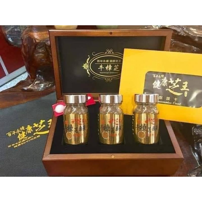 【百年永續】頂級牛樟芝桑黃粉(12g*3罐)💟私訊享有優惠