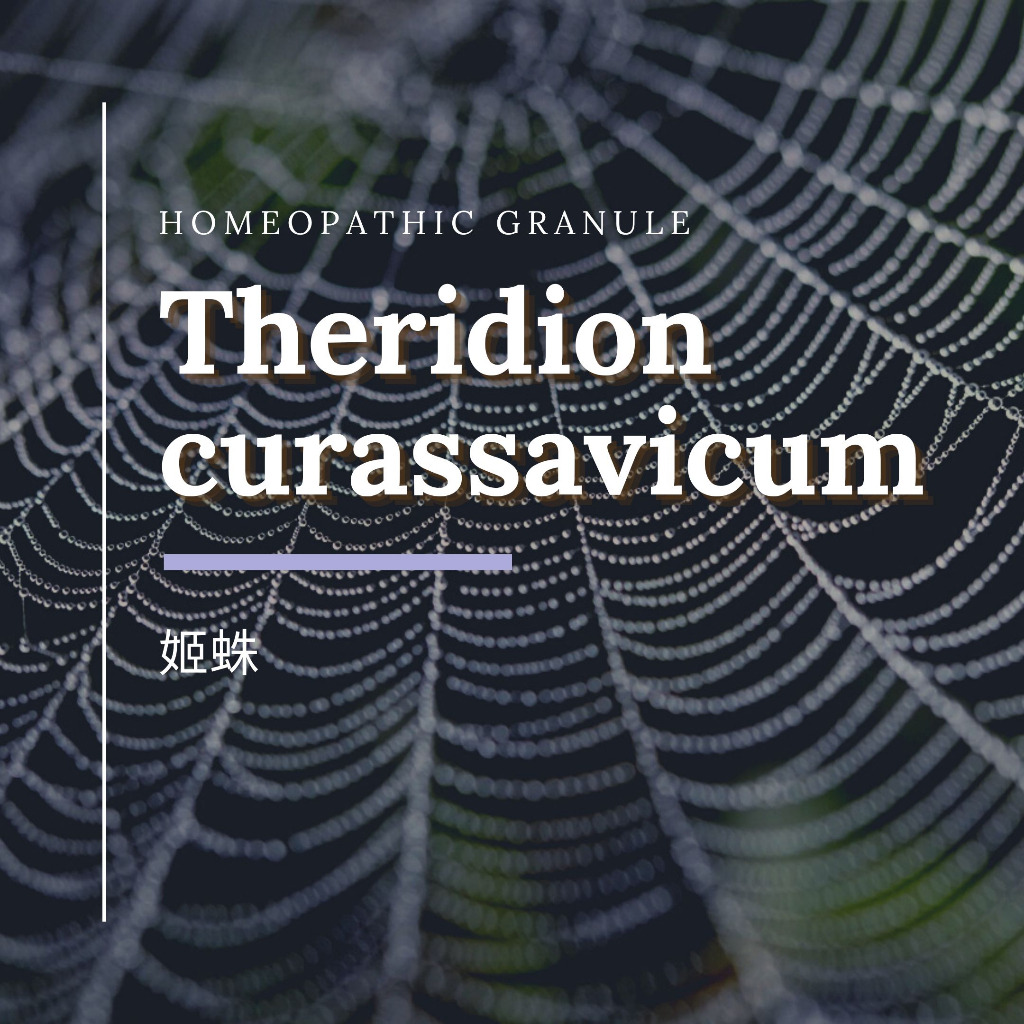 順勢糖球【姬蛛●Theridion curassavicum】天旋地轉／睡眠／Homeopathic Granule