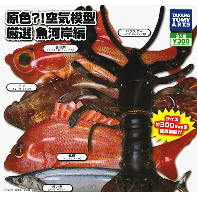 日本TAKARA TOMY 原色 空氣模型 嚴選 魚河岸編 全5種 扭蛋 轉蛋 蝦 秋刀魚 真鯛 平目 金目鯛 釣魚