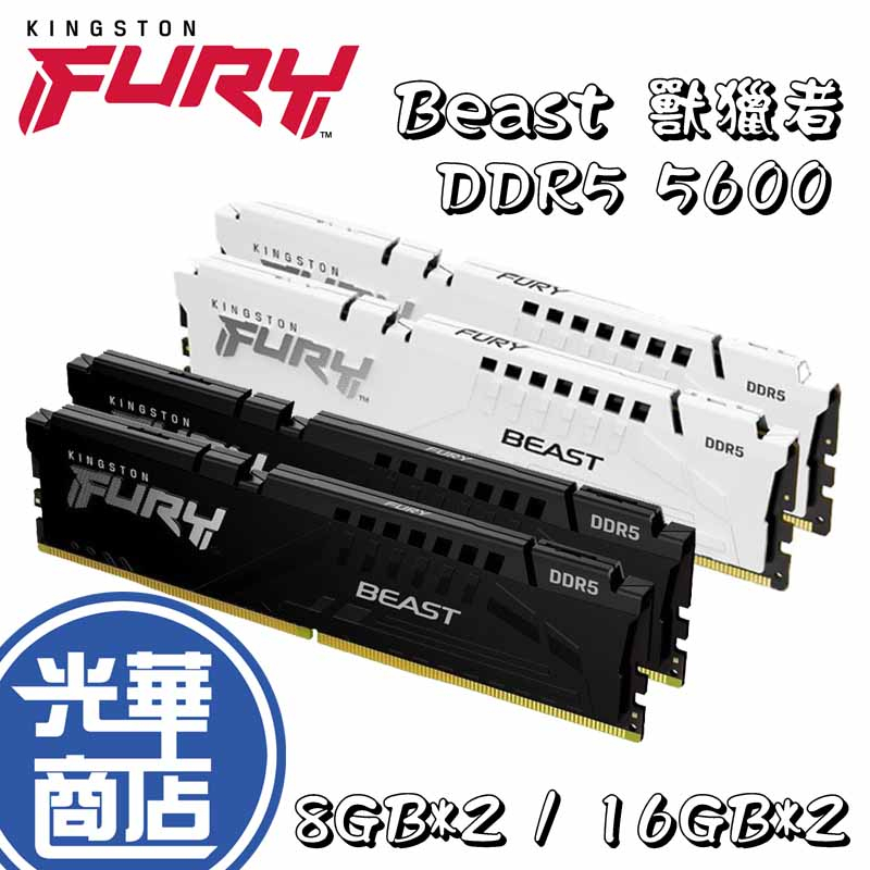 Kingston金士頓 FURY Beast 獸獵者 DDR5 5600 KF556C40BBK2-16 -32 黑 白