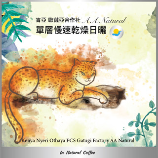 陽光夏 濾掛式咖啡 (淺中烘焙) / 肯亞 歐薩亞合作社 單層慢速日曬處理法