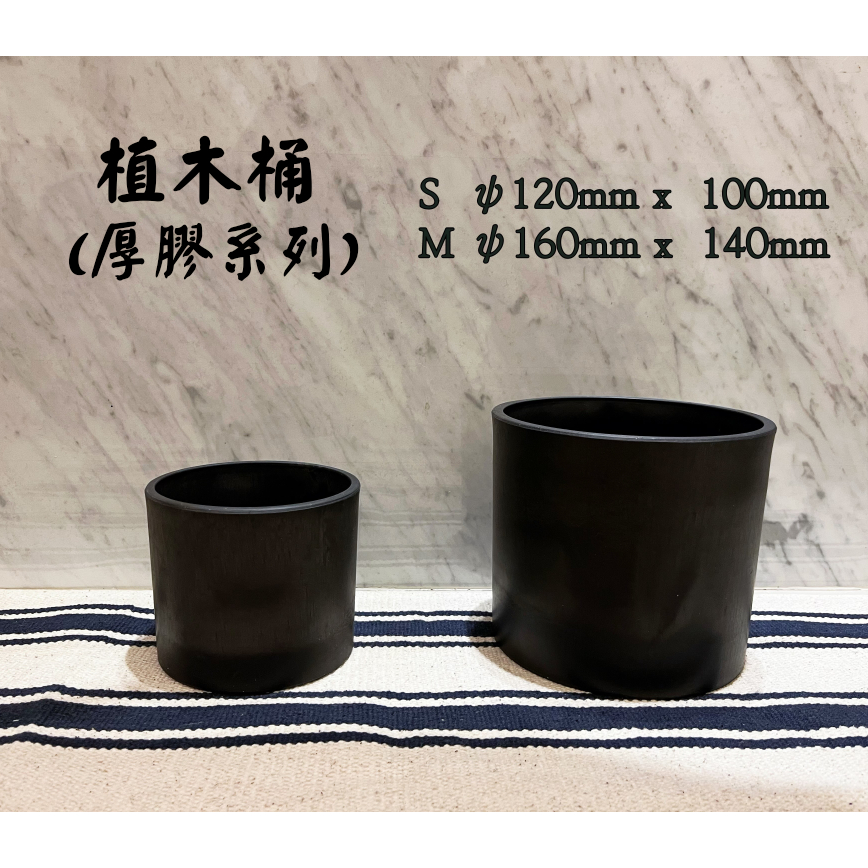植木筒 S~M  日本流行 黑膠盆 塊根植物 多肉植物 盆器