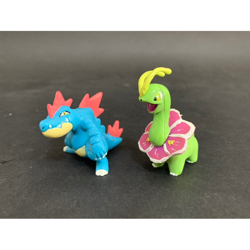 TOMY 寶可夢 大竺葵 大菊花 大力鱷 公仔 非 scale world 城都 火爆獸 立體圖鑑 盒玩 扭蛋 吊卡