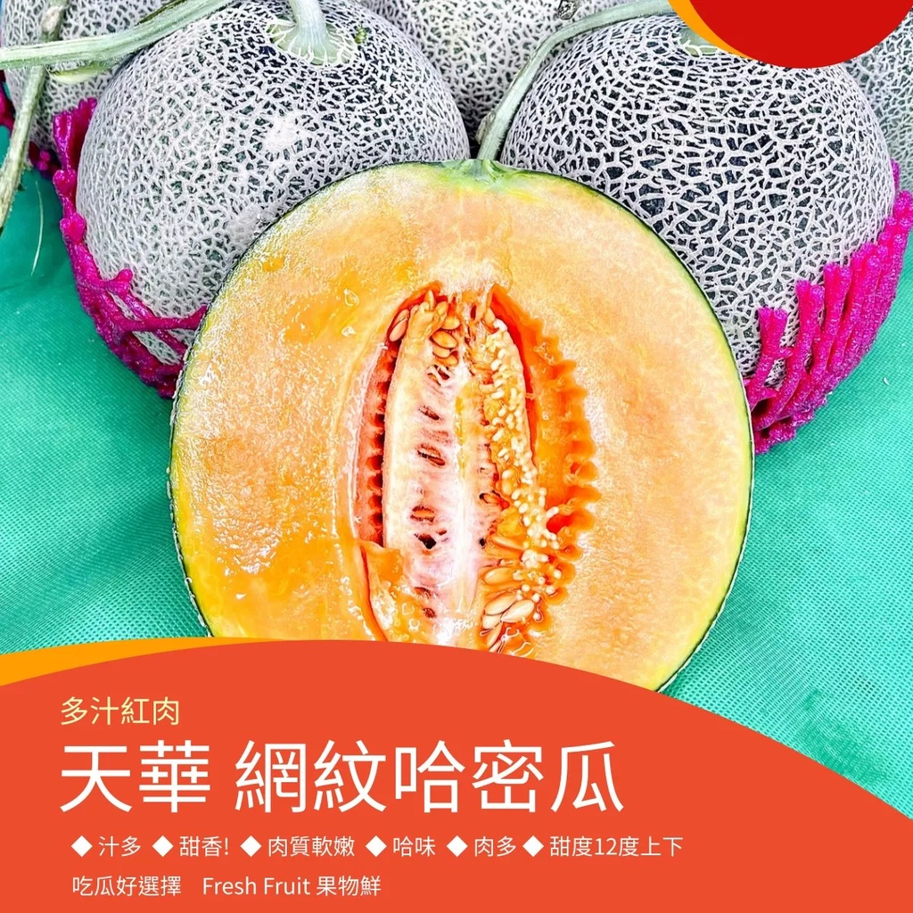 【果物鮮】天華 網紋哈密瓜 (實體店面進口國產新鮮水果 安全放心)