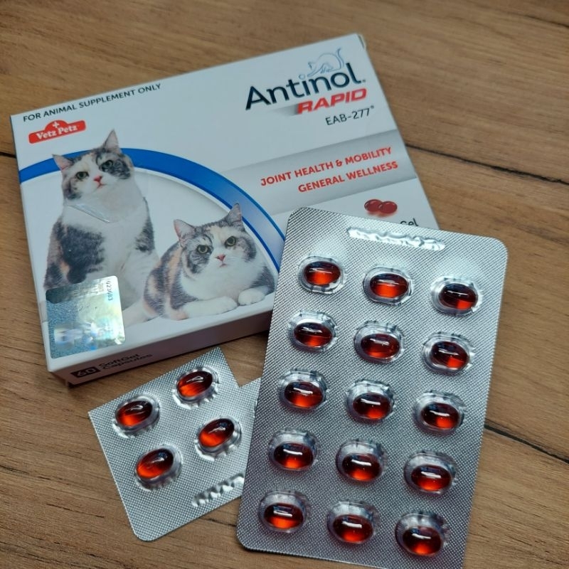 20顆 Antinol Rapid 安適得 酷版《天然關節營養品》(動物用食品) 雷射防偽標籤新包裝
