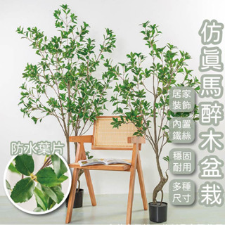 預購 馬醉木 仿真植物 人造樹 假樹 居家裝飾 室外植栽 盆栽 櫥窗裝飾 假植物 蕨類 室內植物 盆景 庭院造景 植物