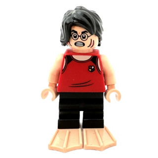 【臺中翔智積木】LEGO 樂高 哈利波特系列 76420 Harry Potter 哈利波特 hp413