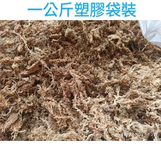 全蝦皮同規格最便宜/智利水苔/智利水草/鹿角蕨、實重250g500g1公斤（每單限2公斤）