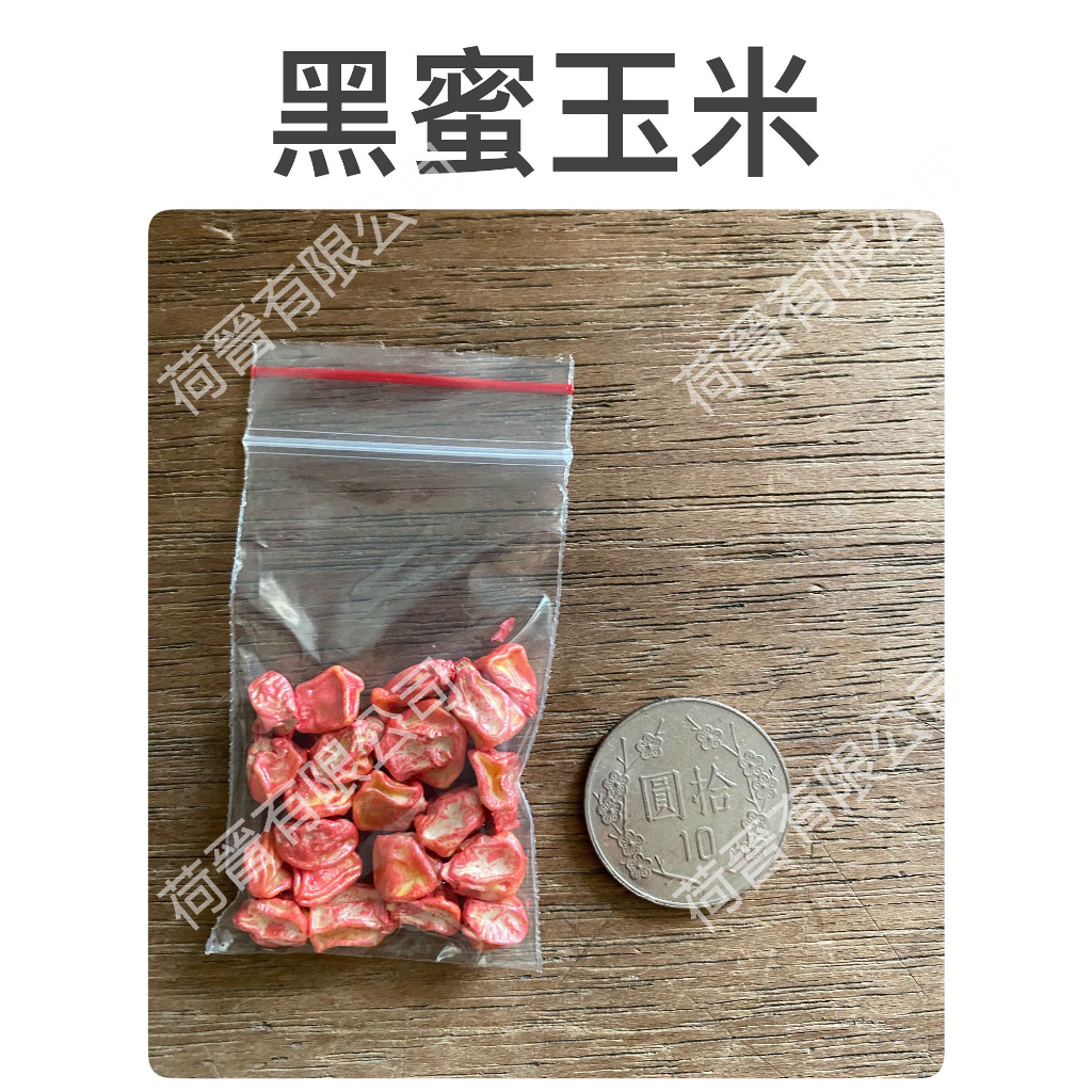 黑蜜巧克力玉米種子(約20粒)