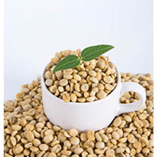 茱莉亞蘿瑞蘭巴拿馬卡菲里歐莊園卡杜艾厭氧日曬咖啡生豆-有花香的咖啡豆