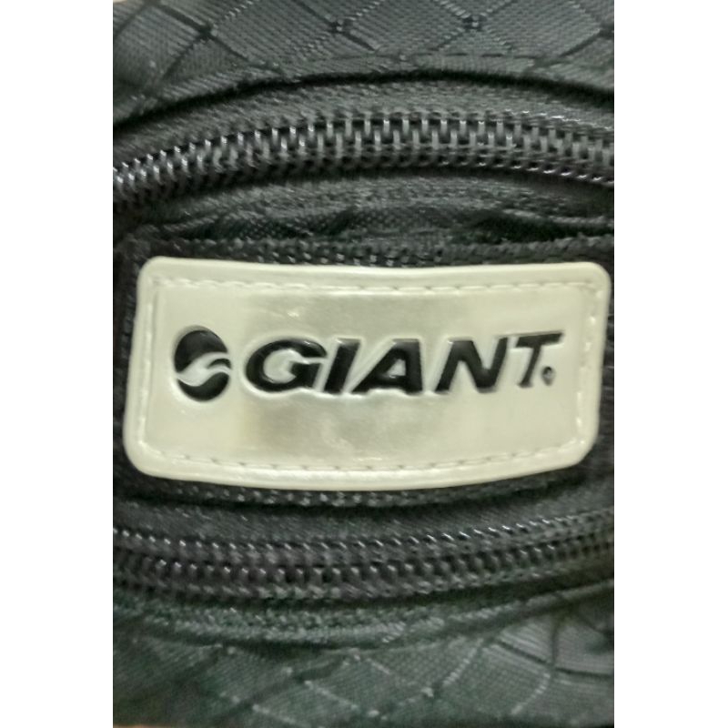 捷安特 GIANT 座墊包 + 後車燈 中古良品