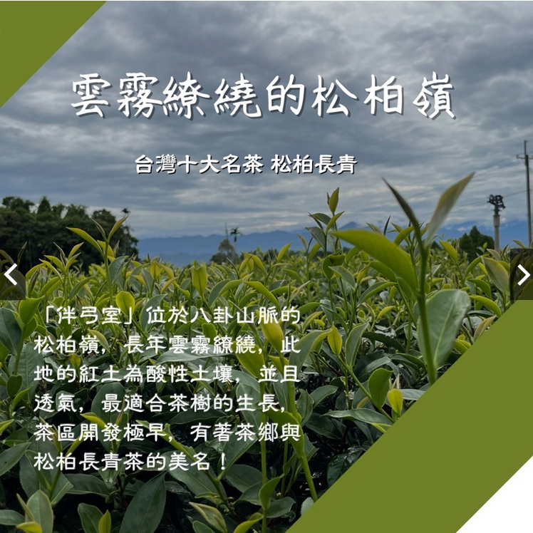 【YouGaBei入來喫茶台灣現貨 蝦皮發票】 松柏嶺四季春（春茶）香氣奔放 清新花香型 適合年輕人 冷泡/熱泡皆適合