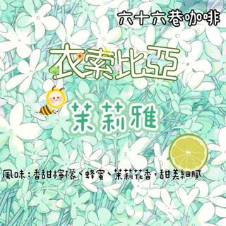 【六十六巷咖啡】衣索比亞｜希達馬｜茉莉雅｜淺烘焙｜水洗｜咖啡豆｜半磅｜耳掛包｜新鮮烘焙｜咖啡豆｜免運費