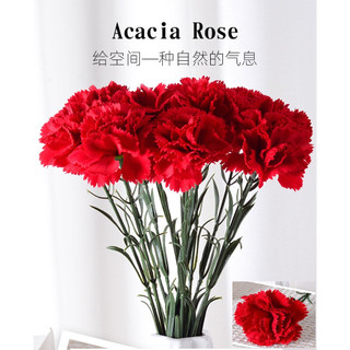 ✔️有發票🇹🇼現貨🏆♥新品限時大特價♥💯CP值爆炸高💯 仿真花 假花 模擬康乃馨 母親節 康乃馨 攝影道具 居家裝飾