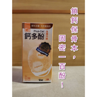 旭能 鈣多酚 60粒 蛋殼鈣+智利酒果 鎖鈣保骨本 固密一百酚【專業醫師推薦】